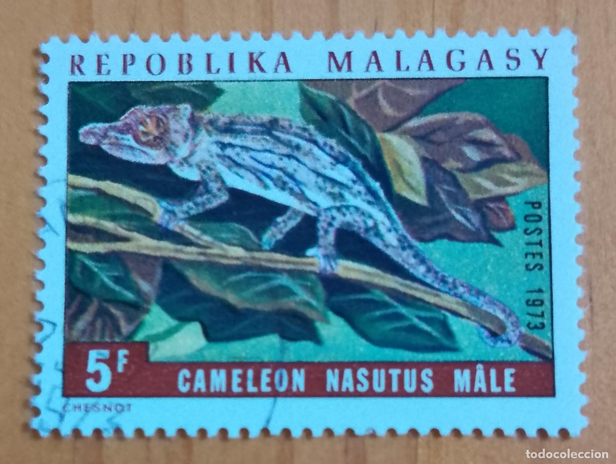 Sellos: MALAGASY, MALGACHE, MADAGASCAR - 5 F - FAUNA, REPTIL, CAMALEON NARIGUDO - A&Ntilde;O 1973 - VER DESCRIPCI&Oacute;N