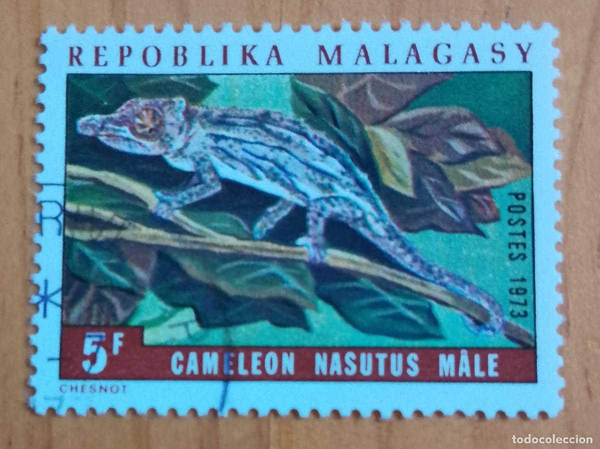 Sellos: MALAGASY, MALGACHE, MADAGASCAR - 5 F - FAUNA, REPTIL, CAMALEON NARIGUDO - A&Ntilde;O 1973 - VER DESCRIPCI&Oacute;N