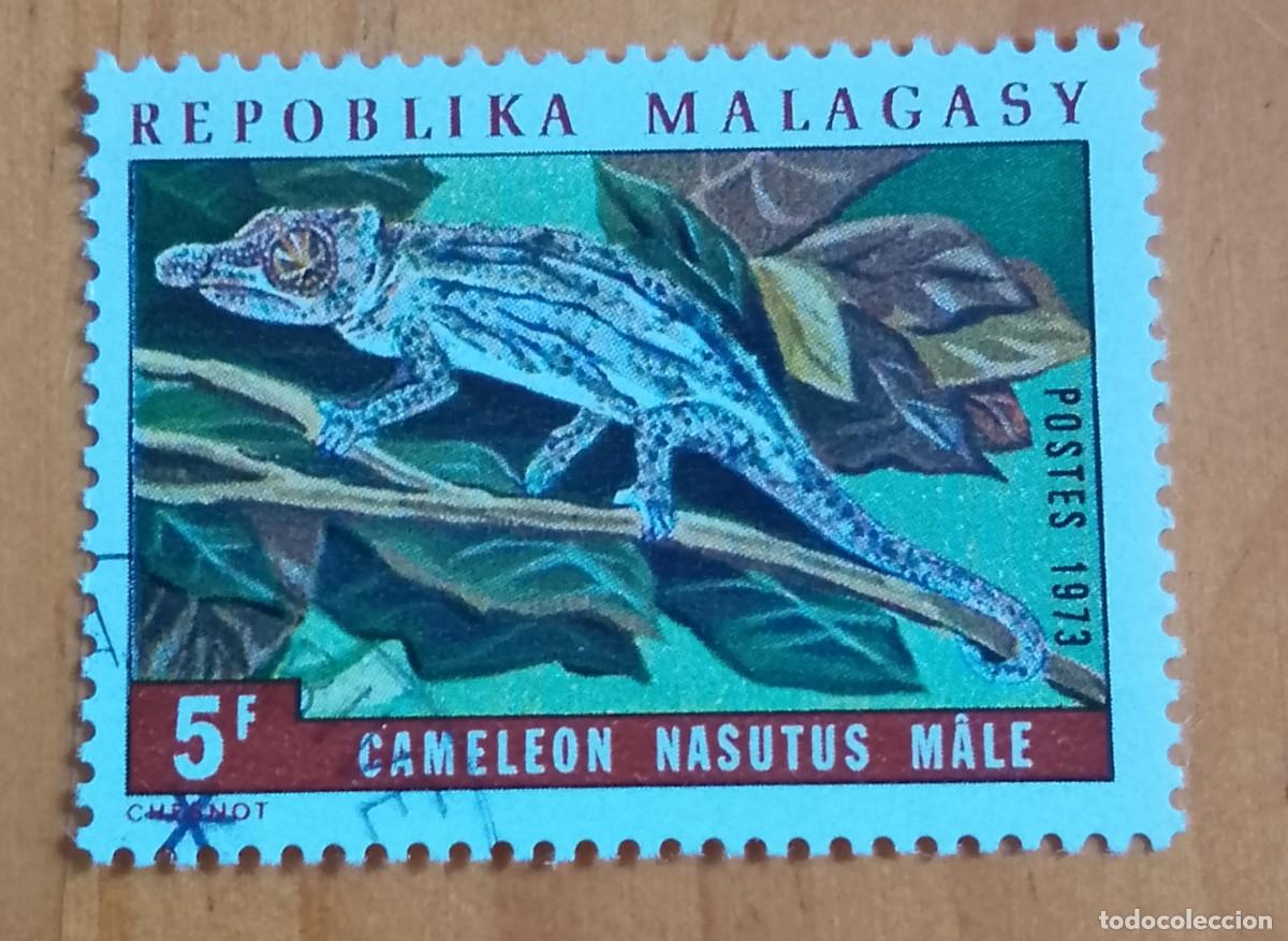 Sellos: MALAGASY, MALGACHE, MADAGASCAR - 5 F - FAUNA, REPTIL, CAMALEON NARIGUDO - A&Ntilde;O 1973 - VER DESCRIPCI&Oacute;N
