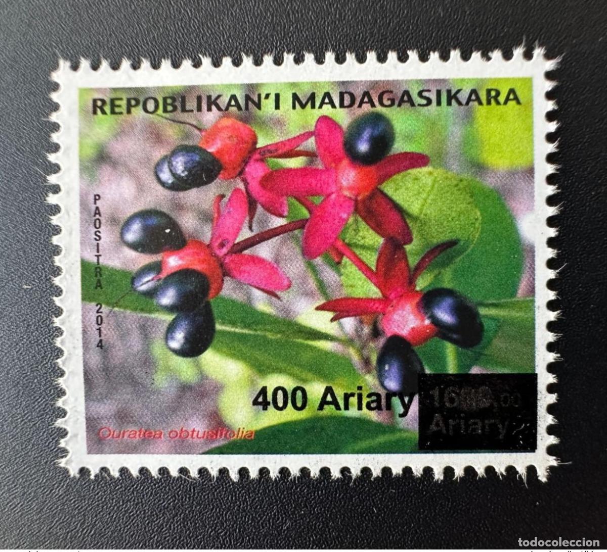 Sellos: Madagascar 2023 Flower Bl&uuml;te Ouratea Flore Flora Overloaded Aufdruck MNH**