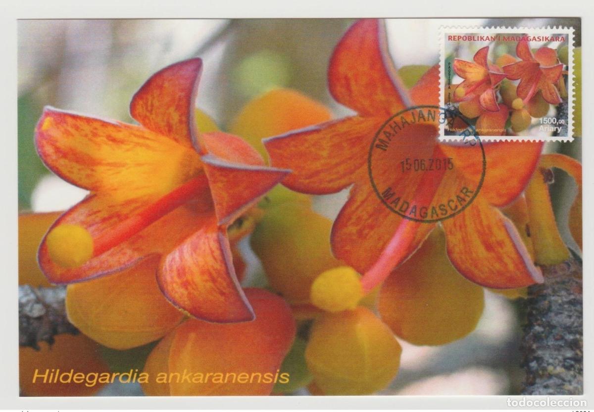Sellos: Madagascar 2015 Mi. 2683 Maximum Card Flower Blume Orchid Orchidee