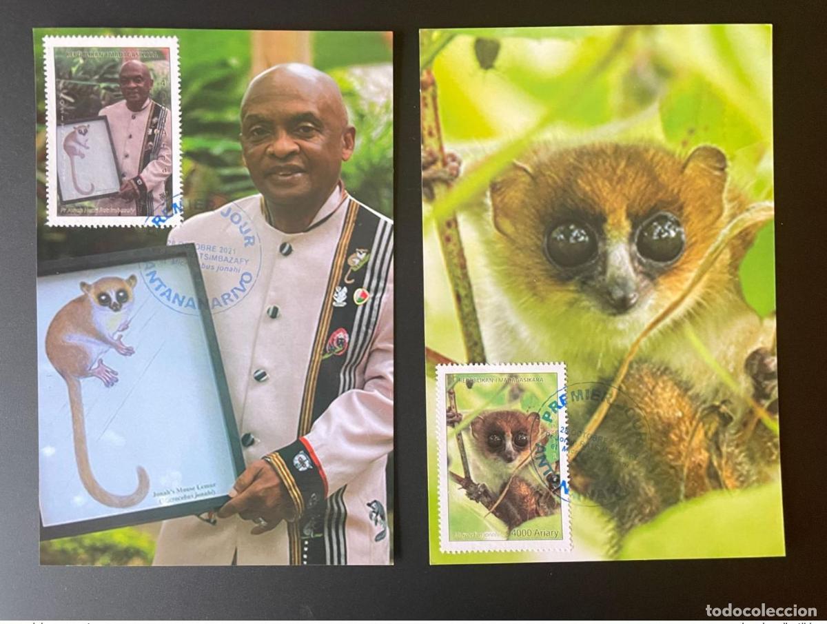 Sellos: Tarjeta FDC Maxi Microcebus Jonahi 2 de Madagascar 2021 Mi. 2722 - 2723