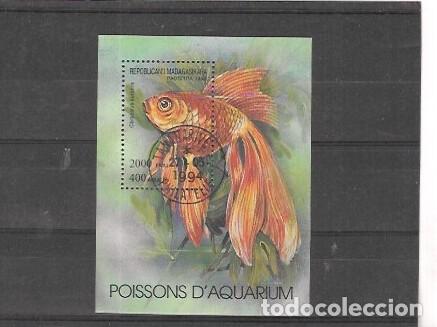 Sellos: MADAGASCAR N&ordm; HB 97 (0)