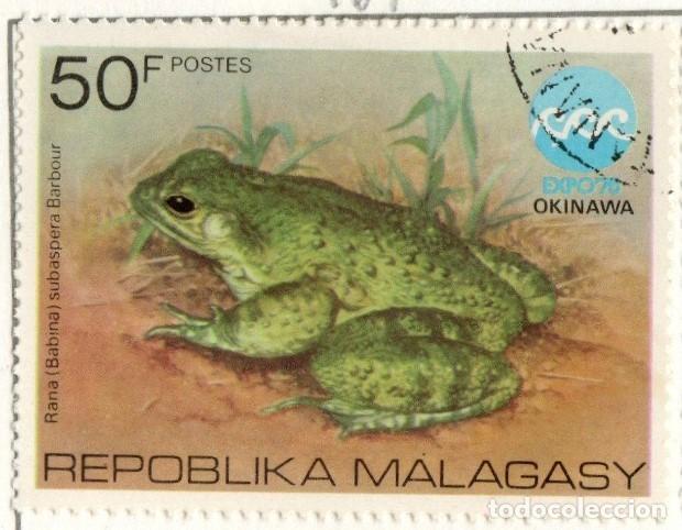 Sellos: Madagascar. Rana. 1975. YT-569. Usado