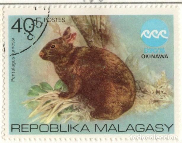 Sellos: Madagascar. Conejo. 1975. YT-568. Usado