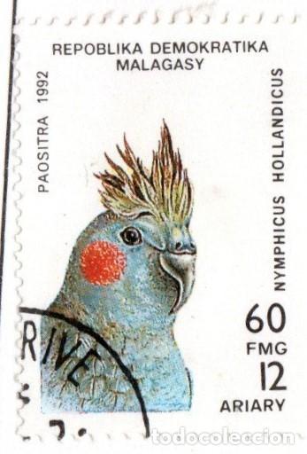 Sellos: Madagascar. Loro. 1992. YT-1145. Usado