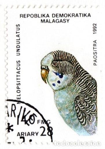 Sellos: Madagascar. Loro. 1992. YT-1146. Usado