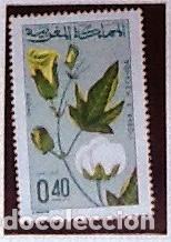 Sellos: YVERT 531. GOMA ORIGINAL. ALGOD&Oacute;N - Foto 1