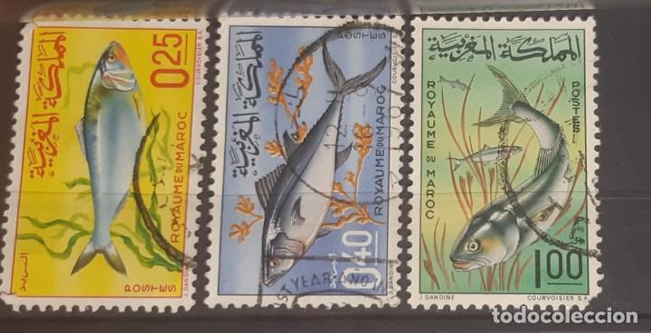 Selos: MARRUECOS,1967,CAT.YT.514/516.