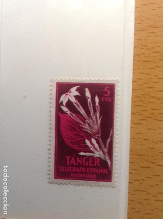 Timbres: Sellos de MARRUECOS ESPA&Ntilde;OL (T&Aacute;NGER) Tel&eacute;grafos