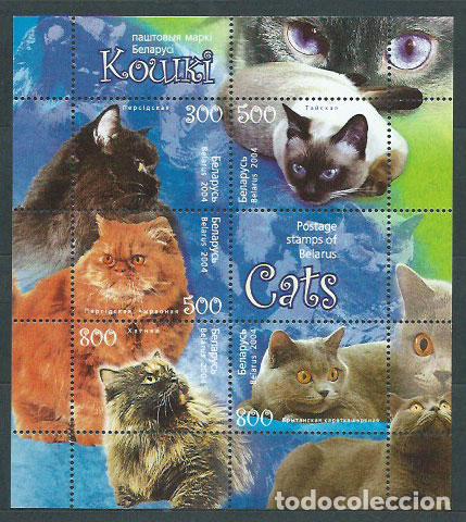 Timbres: Bielorusia - Hojas Yvert 47 ** Mnh Fauna gatos
