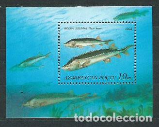 Stamps: Azerbaijan - Hojas Yvert 3 ** Mnh Peces