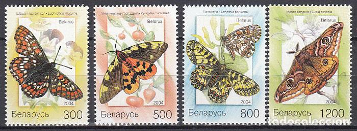 Selos: Bielorusia - Correo 2004 Yvert 512/15 ** Mnh Fauna - Mariposas