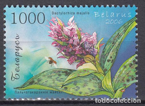Selos: Bielorusia - Correo 2006 Yvert 570 ** Mnh Flores