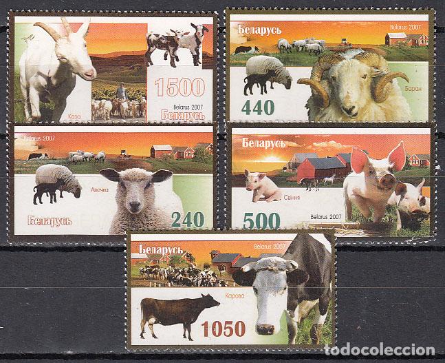 Selos: Bielorusia - Correo 2007 Yvert 611/15 ** Mnh Animales Domesticos