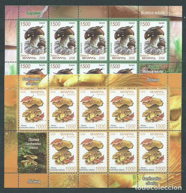 Selos: Bielorusia - Correo 2008 Yvert 636/7 Minipliego ** Mnh Setas
