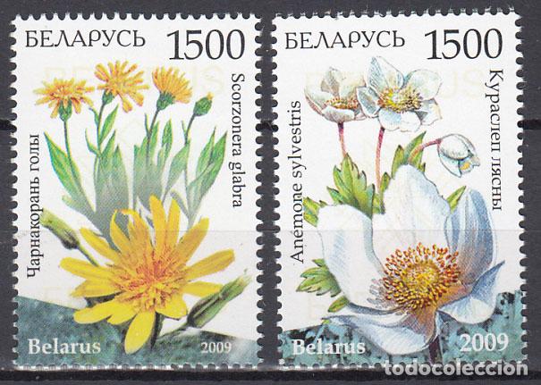 Selos: Bielorusia - Correo 2009 Yvert 675/76 ** Mnh Flores