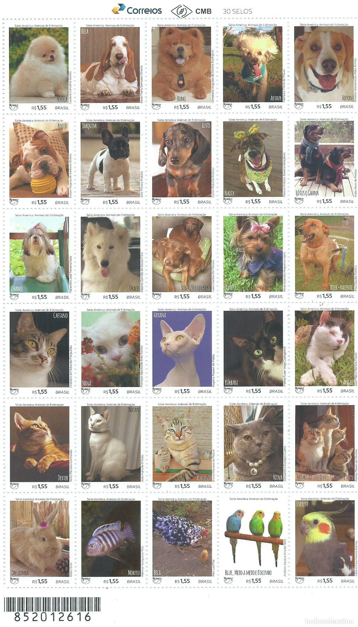 Briefmarken: Brasil Correo 2018 Yvert 3687/3716 ** Mnh Upaep Animales Domesticos