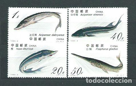 Selos: China - Correo 1994 Yvert 3207/10 ** Mnh Fauna peces
