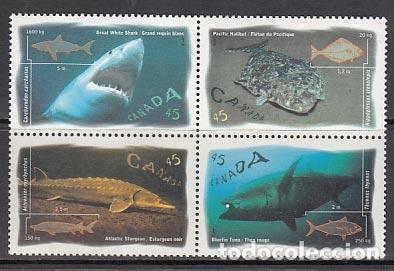 Selos: Canada - Correo 1997 Yvert 1511/4 ** Mnh Fauna. Peces