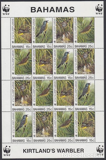 Stamps: Bahamas - Correo 1995 Yvert 851/4 Mini hoja ** Mnh Fauna Aves
