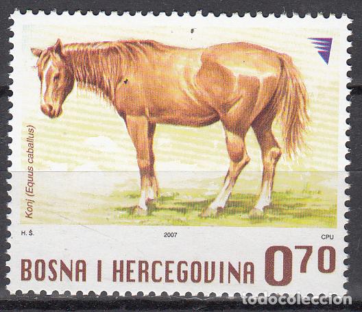 Selos: Bosnia - Correo 2007 Yvert 552 ** Mnh Fauna Domestica