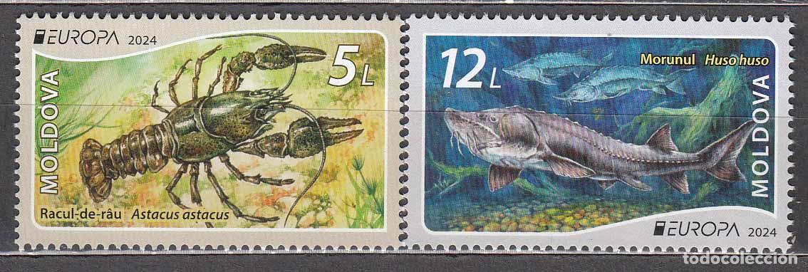 Stamps: Moldavia - Correo 2024 Fauna y Flora submarina - Europa