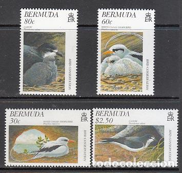 Stamps: Bermudas - Correo Yvert 735/8 ** Mnh Fauna aves