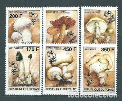 Stamps: Tchad - Correo Yvert 562/7 ** Mnh Setas