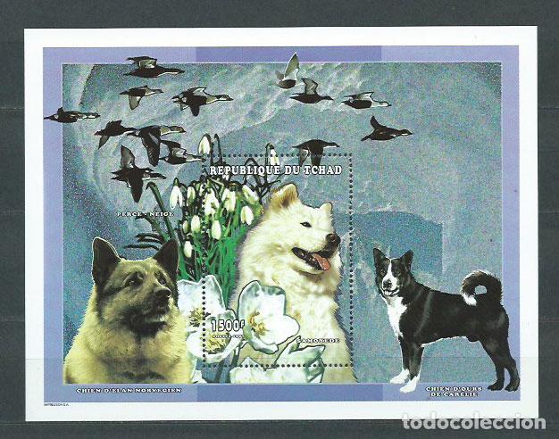 Selos: Tchad - Hojas Yvert 77 ** Mnh Fauna perros