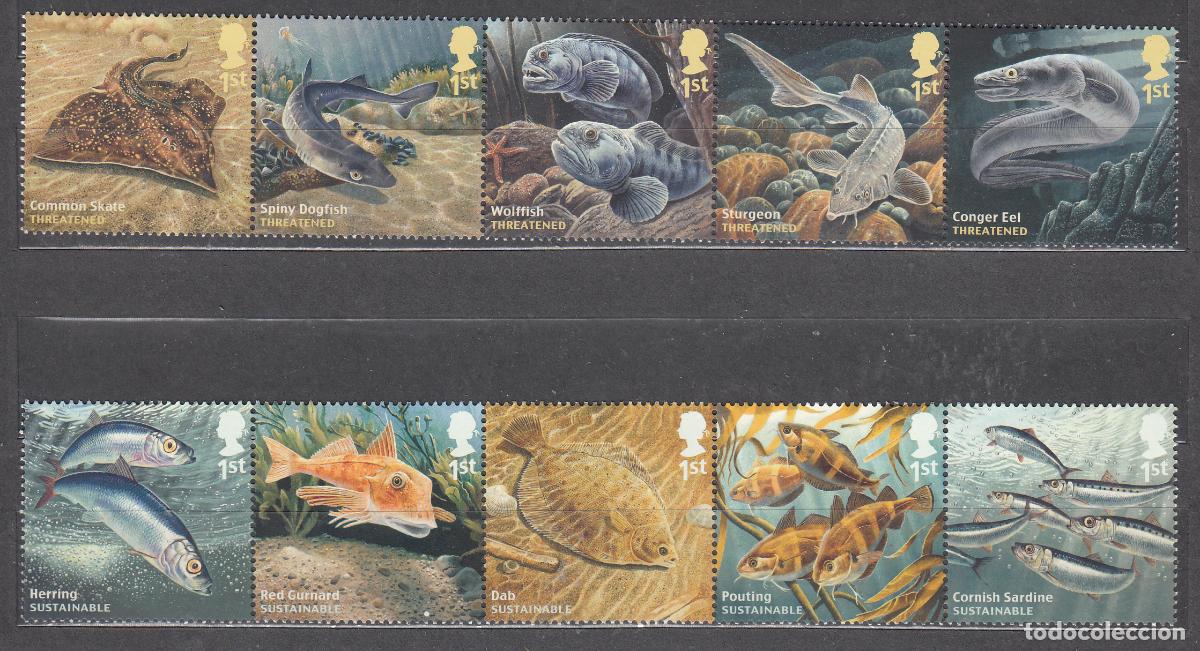 Sellos: Gran Breta&ntilde;a - Correo 2014 Yvert 4017/26 ** Mnh Fauna Marina Peces