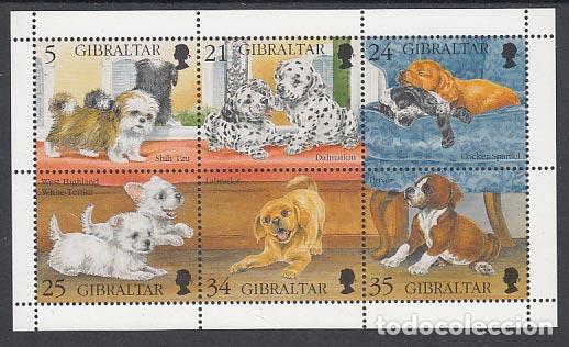 Stamps: Gibraltar - Correo 1996 Yvert 758/63 ** Mnh Fauna perros