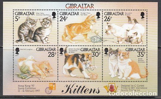 Stamps: Gibraltar - Correo 1997 Yvert 792/7 ** Mnh Fauna gatos