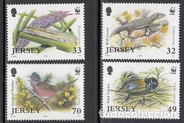 Briefmarken: Jersey - Correo 2004 Yvert 1170/3 ** Mnh Fauna corales