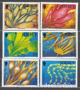 Briefmarken: Jersey - Correo 2009 Yvert 1490/5 ** Mnh Algas