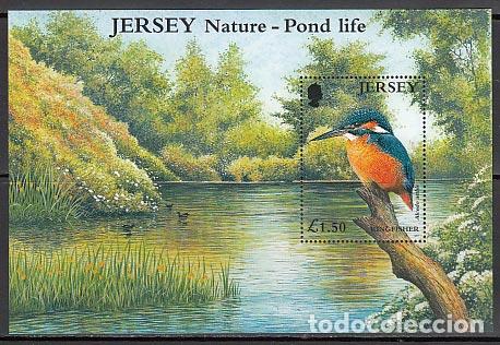 Briefmarken: Jersey - Hojas Yvert 35 ** Mnh Fauna aves