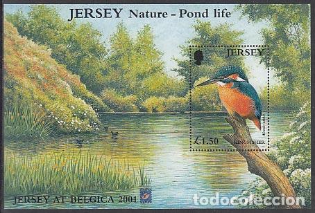Briefmarken: Jersey - Hojas Yvert 36 ** Mnh Fauna aves