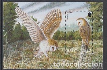 Briefmarken: Jersey - Hojas Yvert 37 ** Mnh Fauna aves