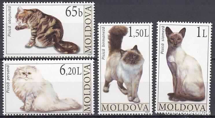 Stamps: Moldavia - Correo Yvert 510/13 ** Mnh Fauna - Gatos