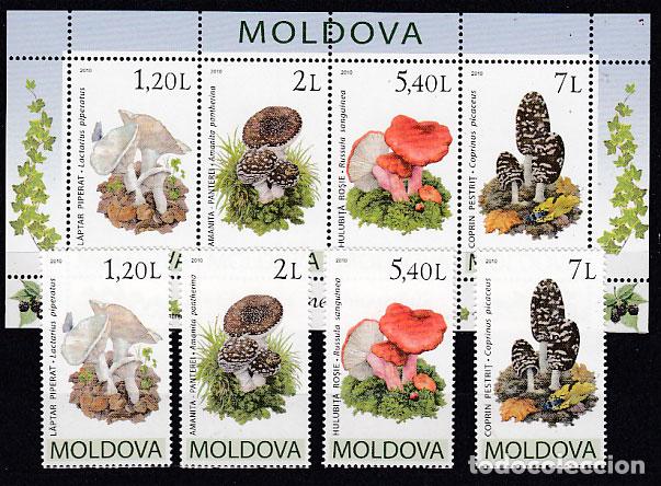 Briefmarken: Moldavia - Correo Yvert 607/10 + Hoja 51 ** Mnh Flora - Setas