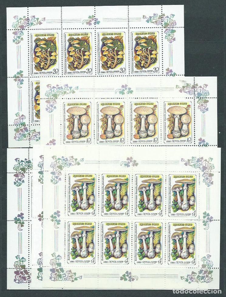 Selos: Rusia - Correo 1986 Yvert 5304/8 ** Mnh Setas