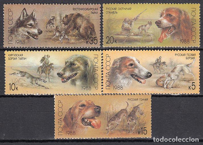 Selos: Rusia - Correo 1988 Yvert 5511/15 ** Mnh Perros de Caza