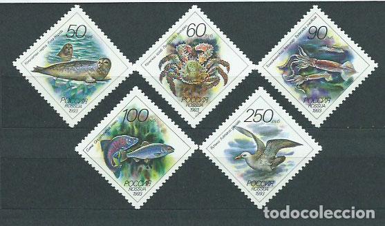 Selos: Rusia - Correo 1993 Yvert 6008/12 ** Mnh Fauna Marina