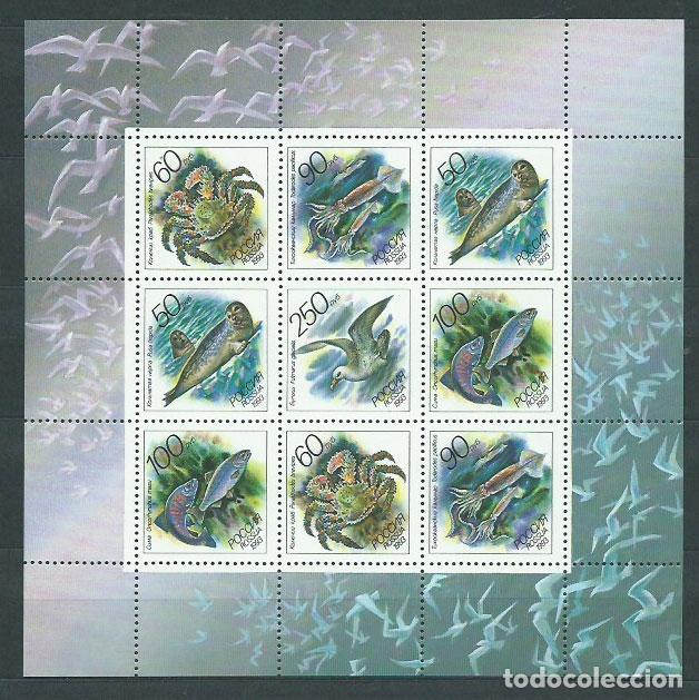 Selos: Rusia - Correo 1993 Yvert 6008/12 Hojita ** Mnh Fauna Marina