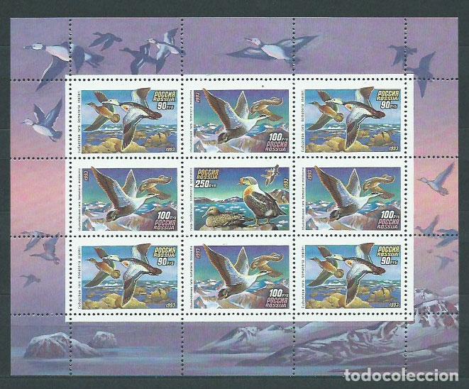 Selos: Rusia - Correo 1993 Yvert 6005/7 Minipliegos ** Mnh Fauna. Aves