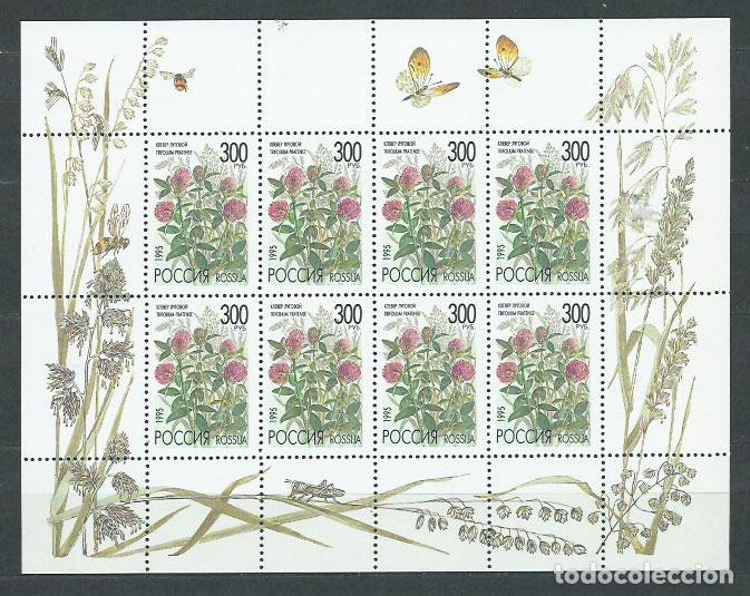 Selos: Rusia - Correo 1995 Yvert 6124 Minipliego ** Mnh Flora