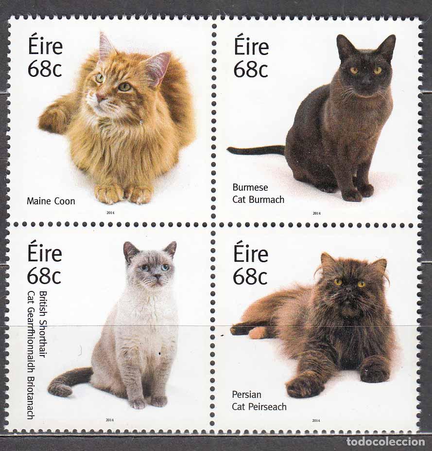 Timbres: Irlanda Correo 2014 Yvert 2109/12 ** Mnh Fauna - Gatos