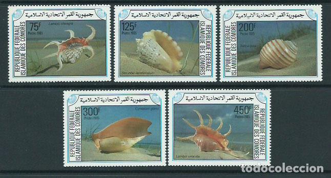 Selos: Comores - Correo 1985 Yvert 421/5 ** Mnh Fauna conchas