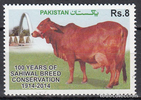 Stamps: Pakistan Correo Yvert 1404 ** Mnh Fauna - Vaca