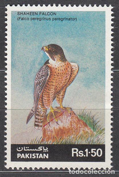 Selos: Pakistan Correo Yvert 650 ** Mnh Fauna - Aves
